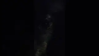 Собака негрик🤣🤣