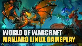 World of Warcraft: Dragonflight on Manjaro Linux | Wine VKD3D