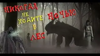 НИКОГДА НЕ ХОДИТЕ НОЧЬЮ В ЛЕС !!!