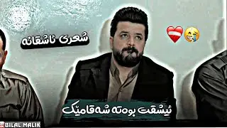 dyar ali daneshtni hatam daratu zor shaz bashi 1 دیار عەلی دانیشتنی گەنجانی دارەتوو