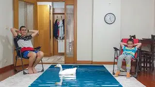 Salonda Havuz Var. Pool in The Hall Fun Kids Video