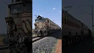 2 WAG5 HB 31 YEARS OLD LOCOMOTIVE BUILT BY #BHEL #indianrailways #jhansi #shorts FREIGHT TRAIN VIDEO