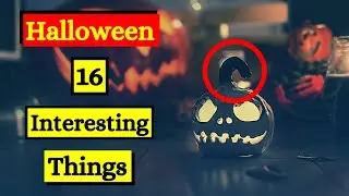 Halloween | What You Need To Know About It