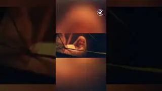 أغنية الشارة  لمسلسل خيوط المعازيب بصوت رابح صقر "اللي ظلم"