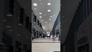 Выставка PalpFor 2023