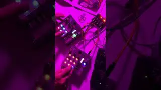 MON2 : Sampler mode