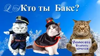 Хитрющий кот Бакс секьюрити, зазывала, попрошайка. История про хитрого кота