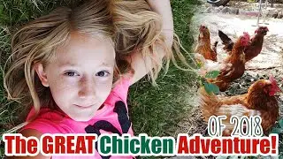The Great Chicken Adventure of 2018! We're getting a LOT more chickens! 