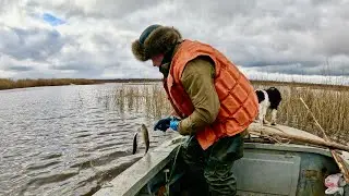 Saving nets with fish. Drake hunting.