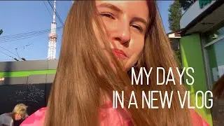 Собака крыса. Картина из губ. Боулинг. Гроза. Несколько дней моей жизни.