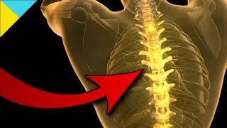 SPINE TINGLES in 2 Mins • ASMR Audio Trigger (Autonomous Sensory Meridian Response)