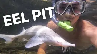 Snorkeling in my eel pit!