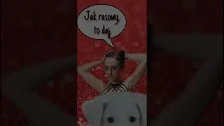 Ela Gawin próbuje wyłudzić od widzki rasowego pieska.