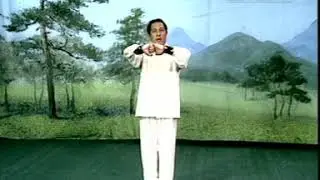 五行八法拳《秦庆丰》上