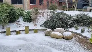 London Snow Walk | Snow Walk In A Park 😊 | London Walks