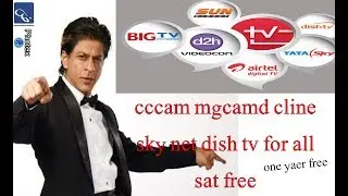 dscam mgcamd cccam cline server for 3yaer kpk info