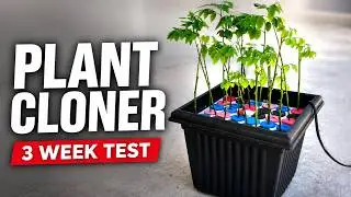 Using an Aeroponic Cloner for Plant Propagation