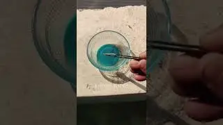Brown Coin 