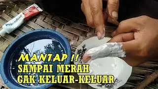 Pepsodent Untuk T4h4n L4m4 4lami P3rm4n3n