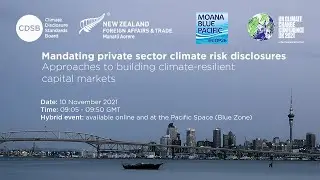 Mandating private sector climate risk disclosures