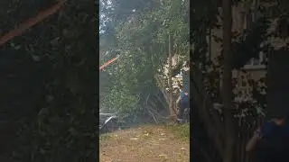Валка дерева,которые сильно наклонено "не туда"