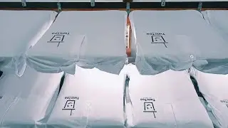 ScreenPrinting | Chest and Back Print