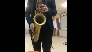 selmer Mark 6