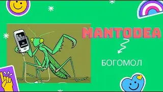Топ 10 интересных factов про богомолов