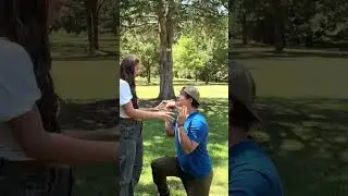 I PROPOSED TO HER AGAIN…😳 #taylorandsoph #family #comedy #couple #goals #funny #cute #shorts