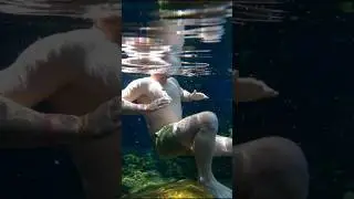 How to tread the water #swimtechnique #swimming #danswim