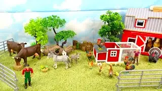 The farm/ Toros/ Hen/chicks/सांड/Bulls/Vacas/Mucche
