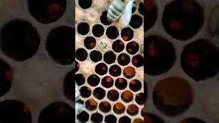 10 июня 2023 г.