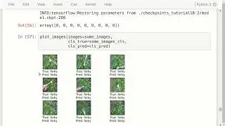 TensorFlow Tutorial #18 TFRecords & Dataset API