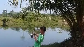 ANAK BAPAK...IKAN MUDA-MUDA