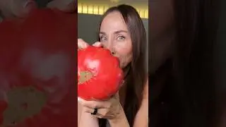 Томатное карпаччо. Любите помидоры? 