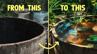 How to create a barrel pond for wildlife (build in simple steps)