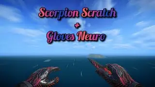 Scorpion Scratch + Gloves Neuro