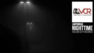 Amphibian - Nighttime