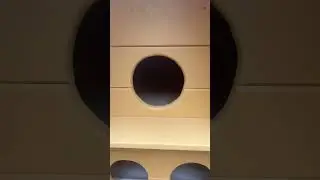 Будка для кошек