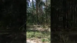 В мини путешествие 🍊🌳🧡