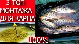 ЛУЧШИЕ 3 МОНТАЖА ДЛЯ ЛОВЛИ КАРПА И АМУРА!!! ТОП 3 МОНТАЖА НА КАРПА И АМУРА!!!