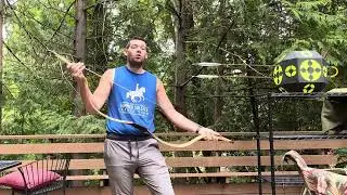 My favorite Yuwen bow- Ni-Ya