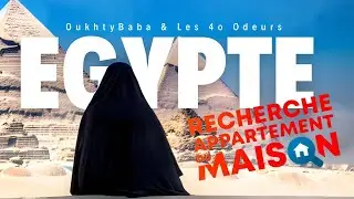 Complete guide to moving into Egypt: finding an apartment, the ideal neighborhood, and furnishing it