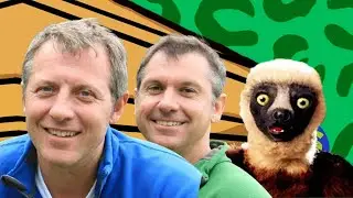 Zoboomafoo - Coffin Dance Song (Old Style Remix)