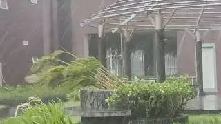 rainy day