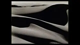 Edward Weston  Photographer