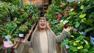 Finally Picked-Up a Wishlist Plant!!!