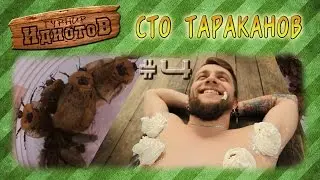 Турнир ИдиотоВ - Сто тараканов [Сезон 3, выпуск 4]