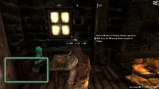 Skyrim Survival