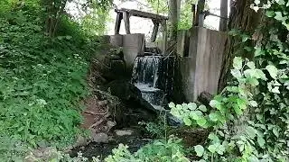 Стихотворение Анны Вельк - Деер 